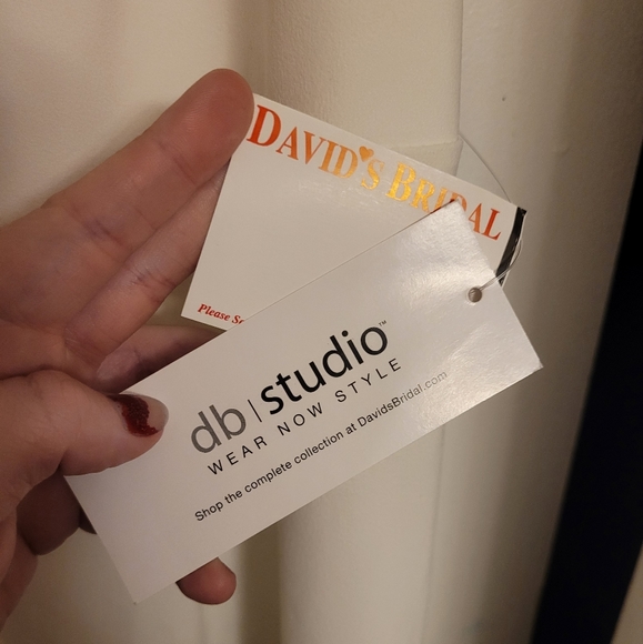 Ivory Wedding Dress (size 16W) David's Bridal, db studio - Picture 6 of 6